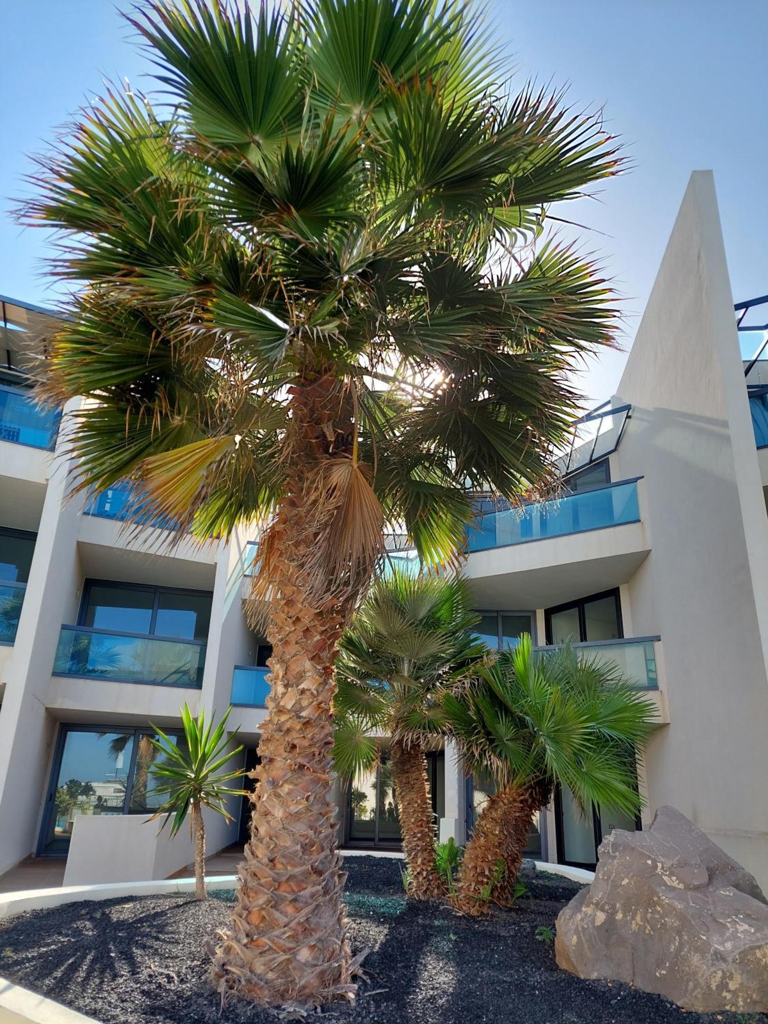 Sunset Spot Fuerteventura Cotillo Seaviews Premium 外观 照片